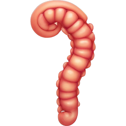 Stomach And intestine emoji