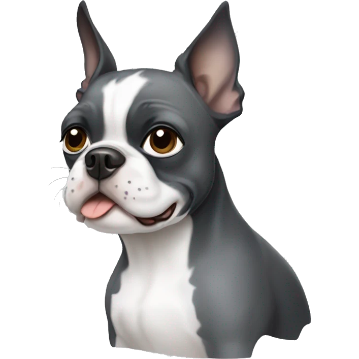 Grey and white Boston terrier  emoji