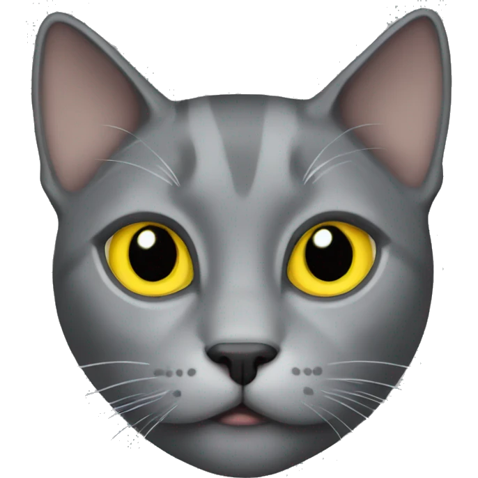 gray cat with yellow eyes emoji