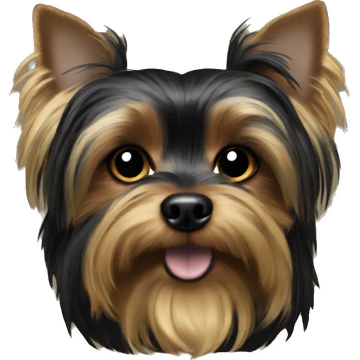 Black and gold Yorkie  emoji