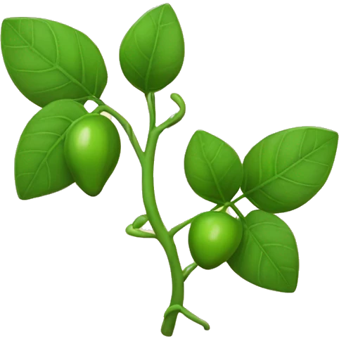 Vine plant without grapes and with leaves emoji