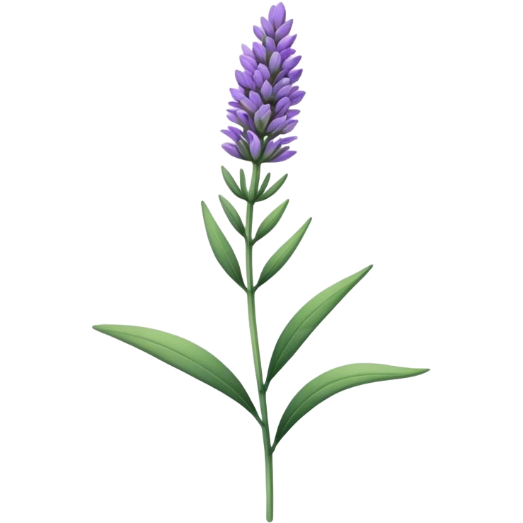 single Lavender, stem, leaf emoji
