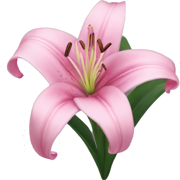 pink lily emoji