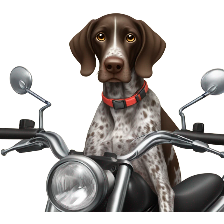 German shorthair pointer on a dirt bike emoji