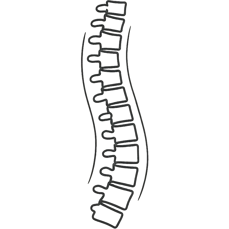 hand-drawn outlined human spine icon, X-ray style, no fill emoji