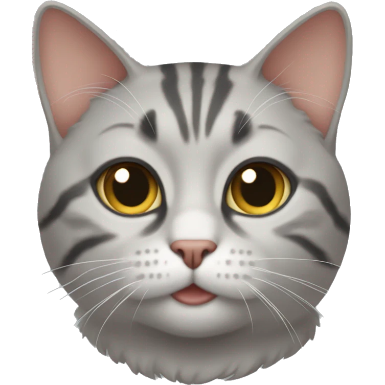 Cat Three Colorado emoji