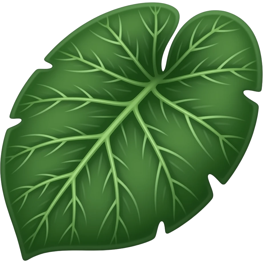 alocasia bambino leaf dark with silver veins emoji