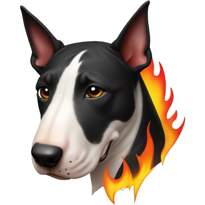 Bull terrier head black and fire emoji