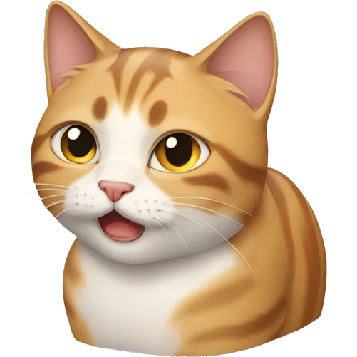 cat is cry emoji