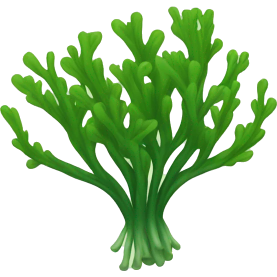 seaweed emoji