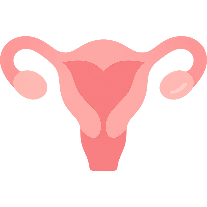 A clean, minimalistic vector illustration of a simplified uterus icon, designed as a stylized flower or heart shape with upward-sweeping fallopian tube 'horns'. Use smooth, well-defined lines with a modern flat design. Apply soft inner shadows and subtle highlights to give depth and gloss without breaking the flat aesthetic. Keep the design centered, symmetrical, and elegant. Transparent background. Color palette: soft pinks, muted reds, and gentle white highlights emoji