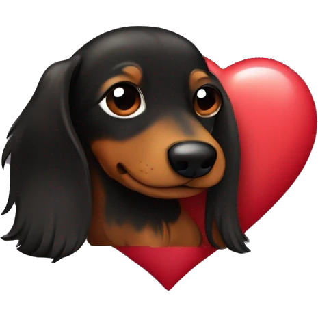 black and brown long haired daschund hugging a heart emoji