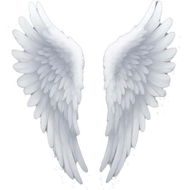 both angel wings emoji