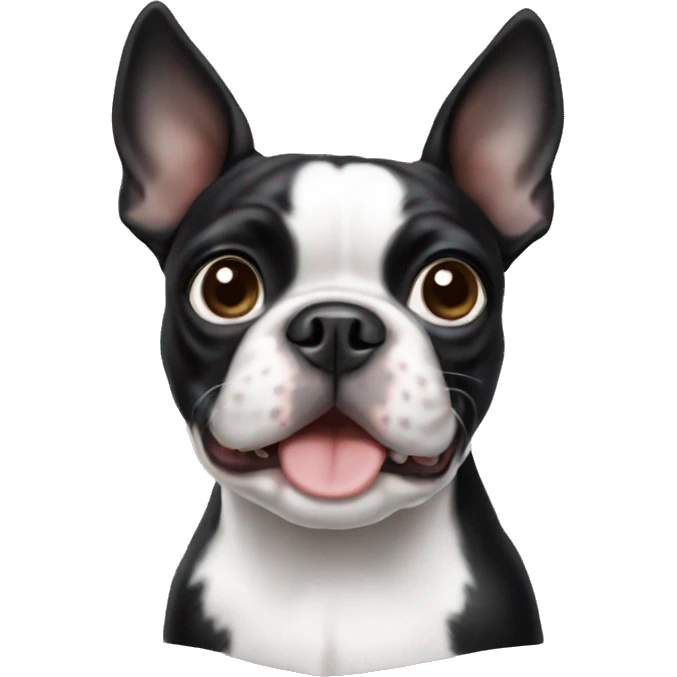 boston terrier emoji