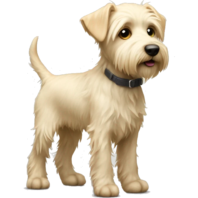 Light blonde terrier puppy with shaggy fur full body skinny legs emoji