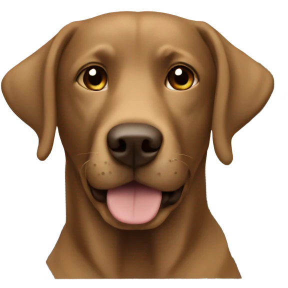 Brown Labrador in a car emoji
