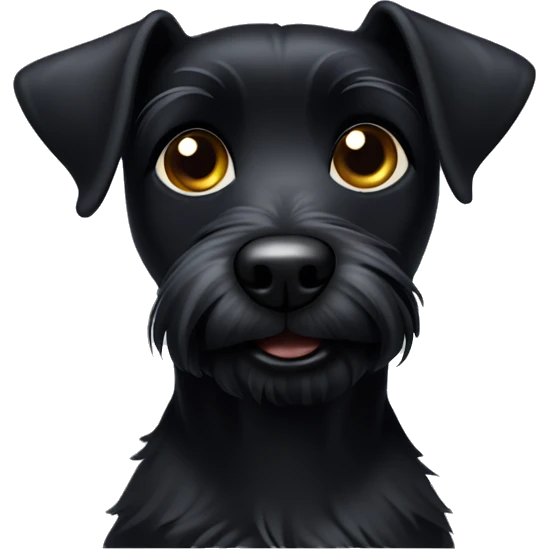 small scrappy black terrier with short downturned ears emoji