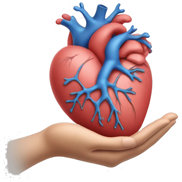 hand holding anatomy heart emoji
