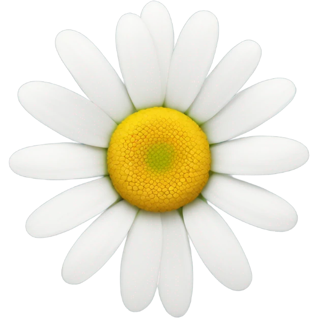 A white daisy with 1 missing petal  emoji