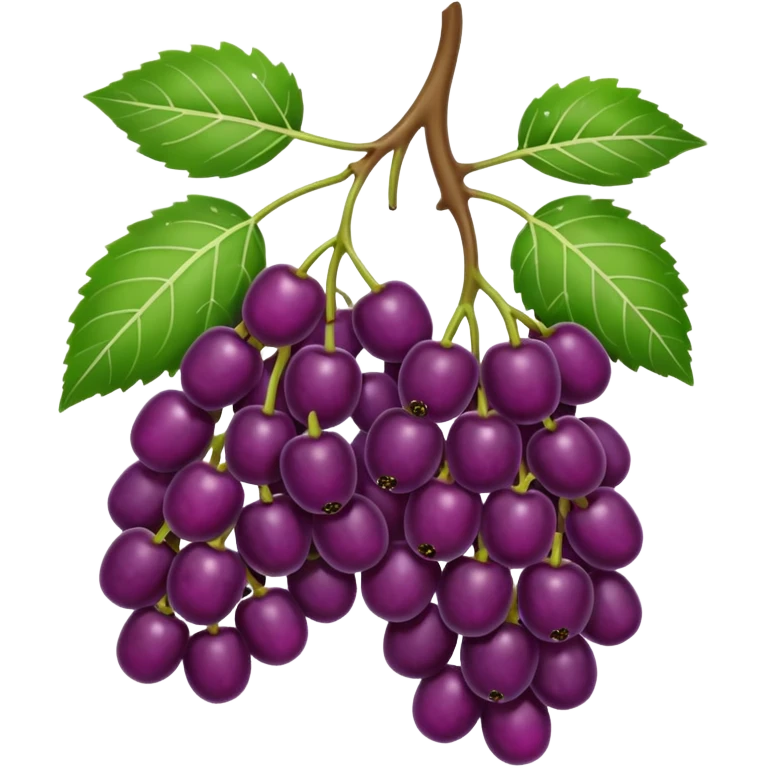 Make mulberry. But not too big. And not too big. And not too many fruits. The one I made earlier was disgusting because it had too many eggs and too big emoji