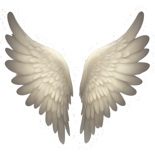 Angel wings emoji