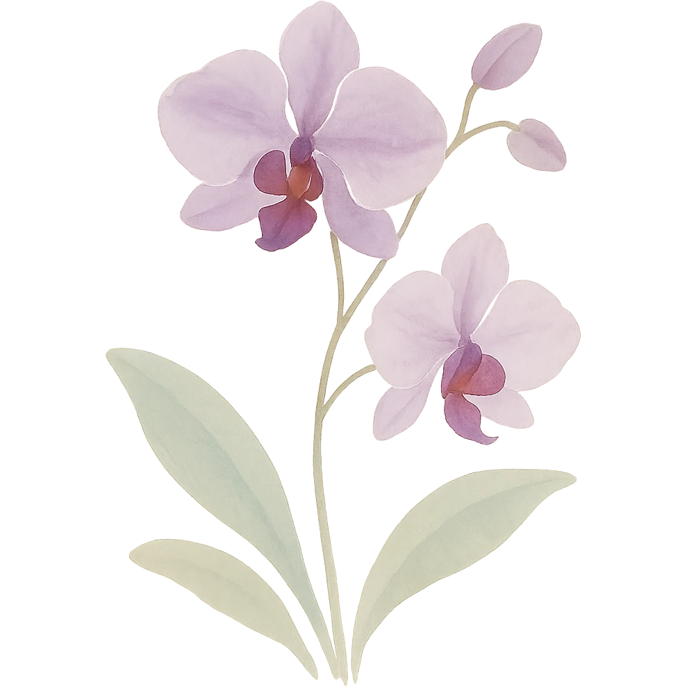 orchid, flowing brushstrokes, rich purple and white colors, elegant shape, naturalistic leaves, watercolor art style emoji