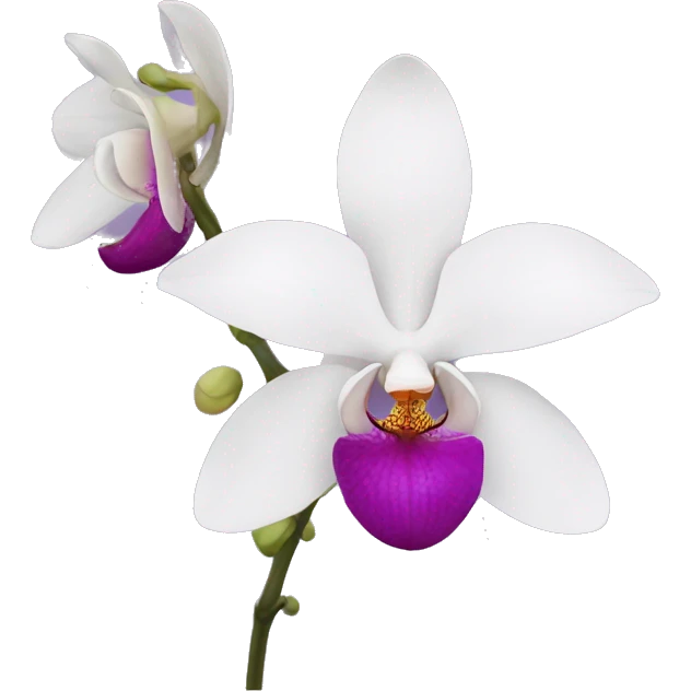 Orchid flower emoji