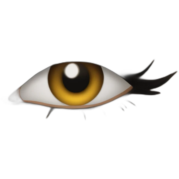 morgane makeup emoji