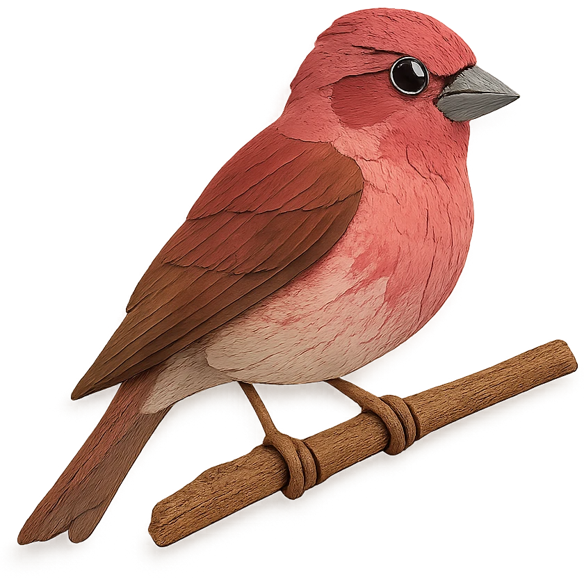 close-up of a purple finch perched on a tree branch, fine paper edges, expressive eye, raspberry-red and brown plumage emoji