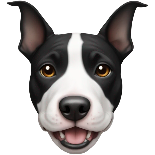 Black and white american bull terrier  emoji