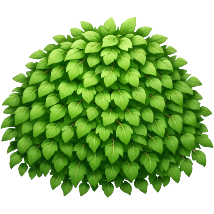 A fluffy bush with soft light-green foliage and hidden twigs. emoji