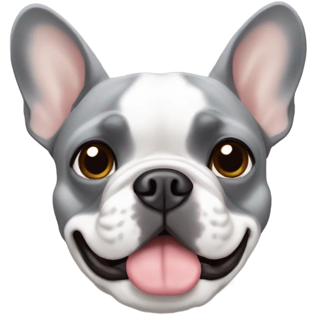 Grey french bulldog with brown eyebrows  emoji