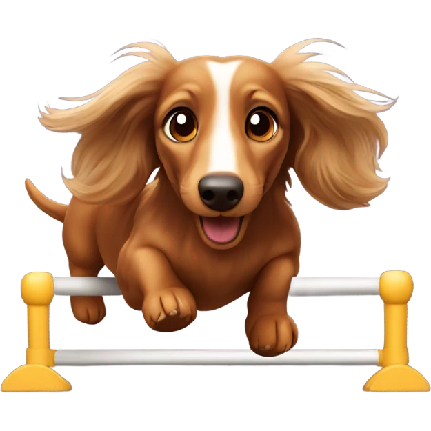 Longhaired dachs with light Brown eyes and Brown nose jumping agility emoji