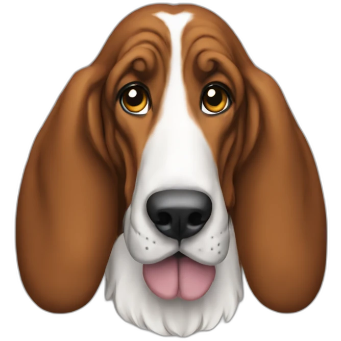 Dog-basset-hound-full-height emoji