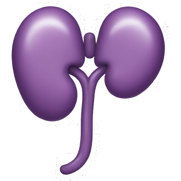 kidney emoji
