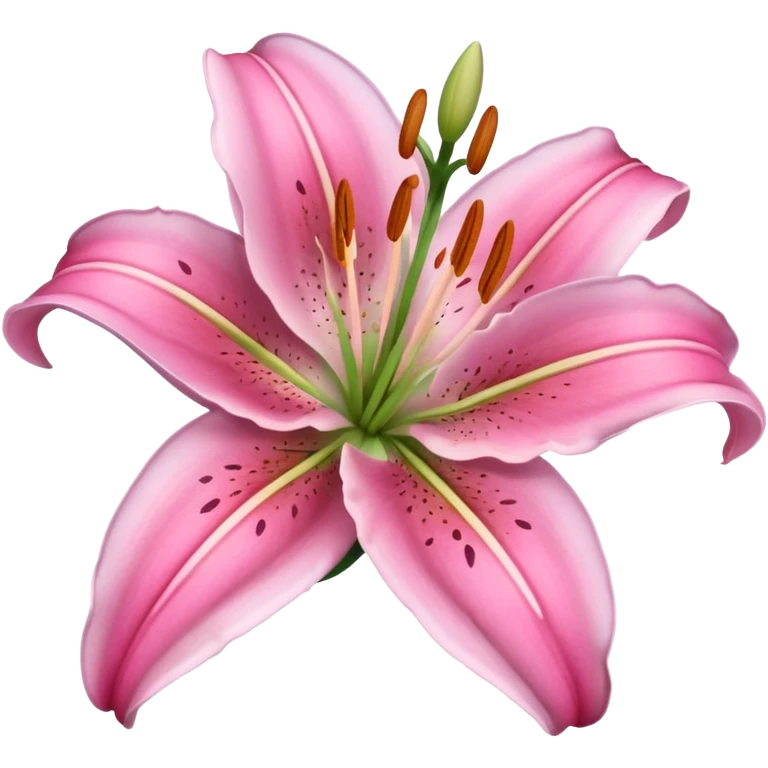 pink lily emoji emoji