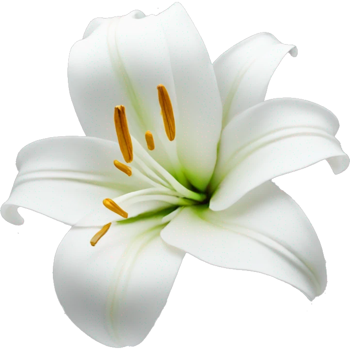 Lily flower white emoji