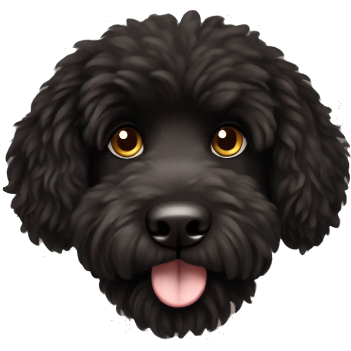 black fluffy doodle dog brown eyes  emoji