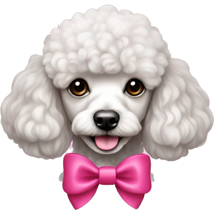 Mini poodle con un lazo rosado emoji