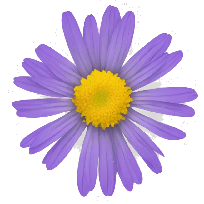Aster flower emoji