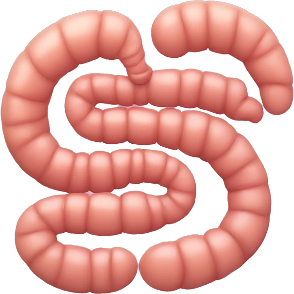 Stomach And intestine emoji