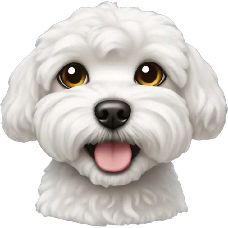 Petit chien bichon maltais emoji