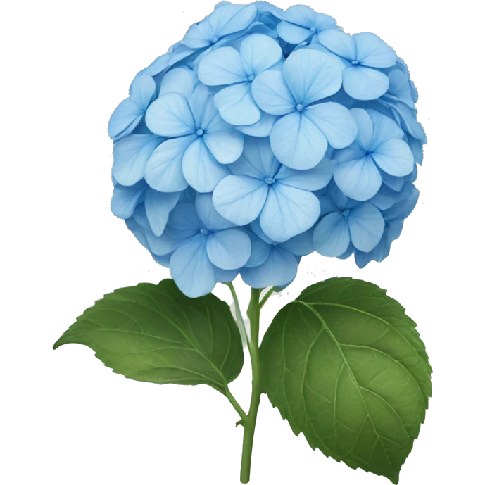Light blue hydrangea emoji