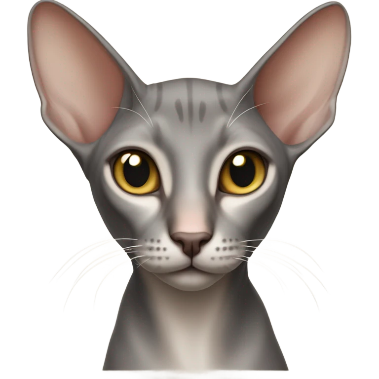 Oriental shorthair cat emoji
