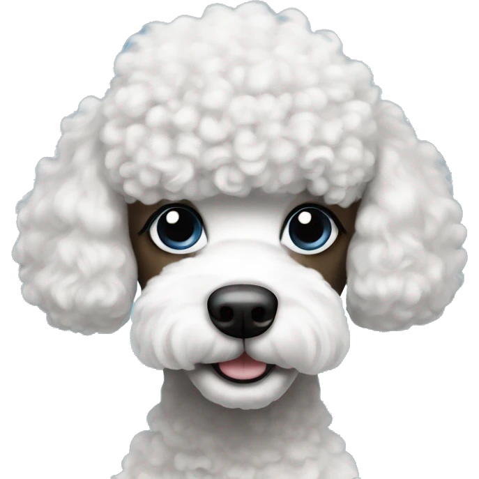 Poodle with half white and half black face with one blue eye emoji