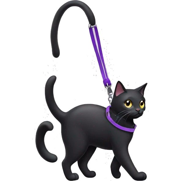 Black cat going for a walk with a purple leash emoji