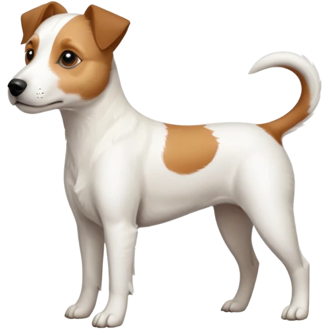 a full body slightly chubby white parson russell terrier looking dog the size of a kelpie with light brown long ears and a light brown patch on one eye and a large snout emoji