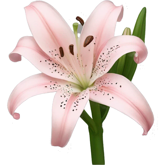light pink lilium emoji