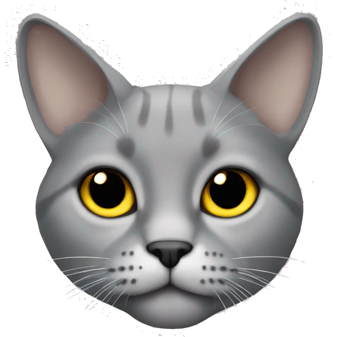 a lop-eared grey cat with a white breast and yellow eyes emoji