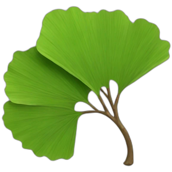 Ginko-leaf-branch emoji